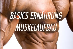 basics-ernaehrung-aufbau.jpg