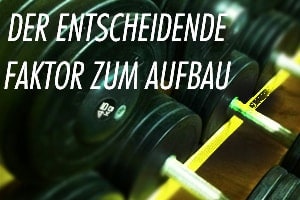 faktor-muskalaufbau.jpg