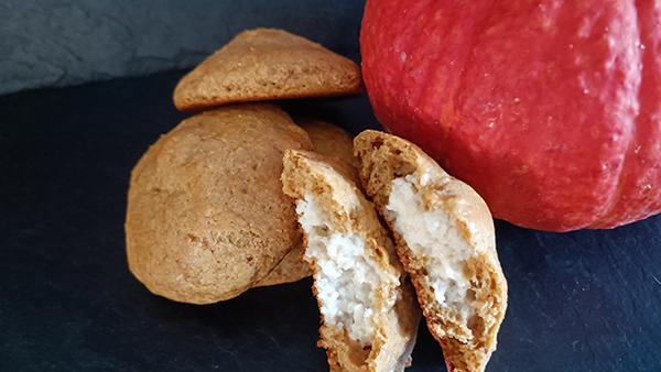 Rezept des Monats Kürbis Cookies mit Wheyprotein und Caseinprotein