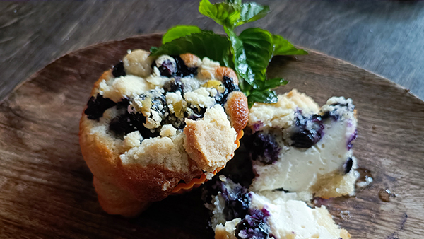 Rezept des Monats Juni 2025 Proteinkuchen mit Frischkäse und Eiweiss